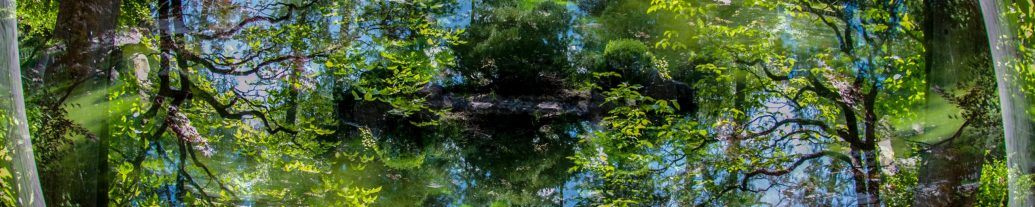 eric-cook-TJy9FRaNtjY-unsplash